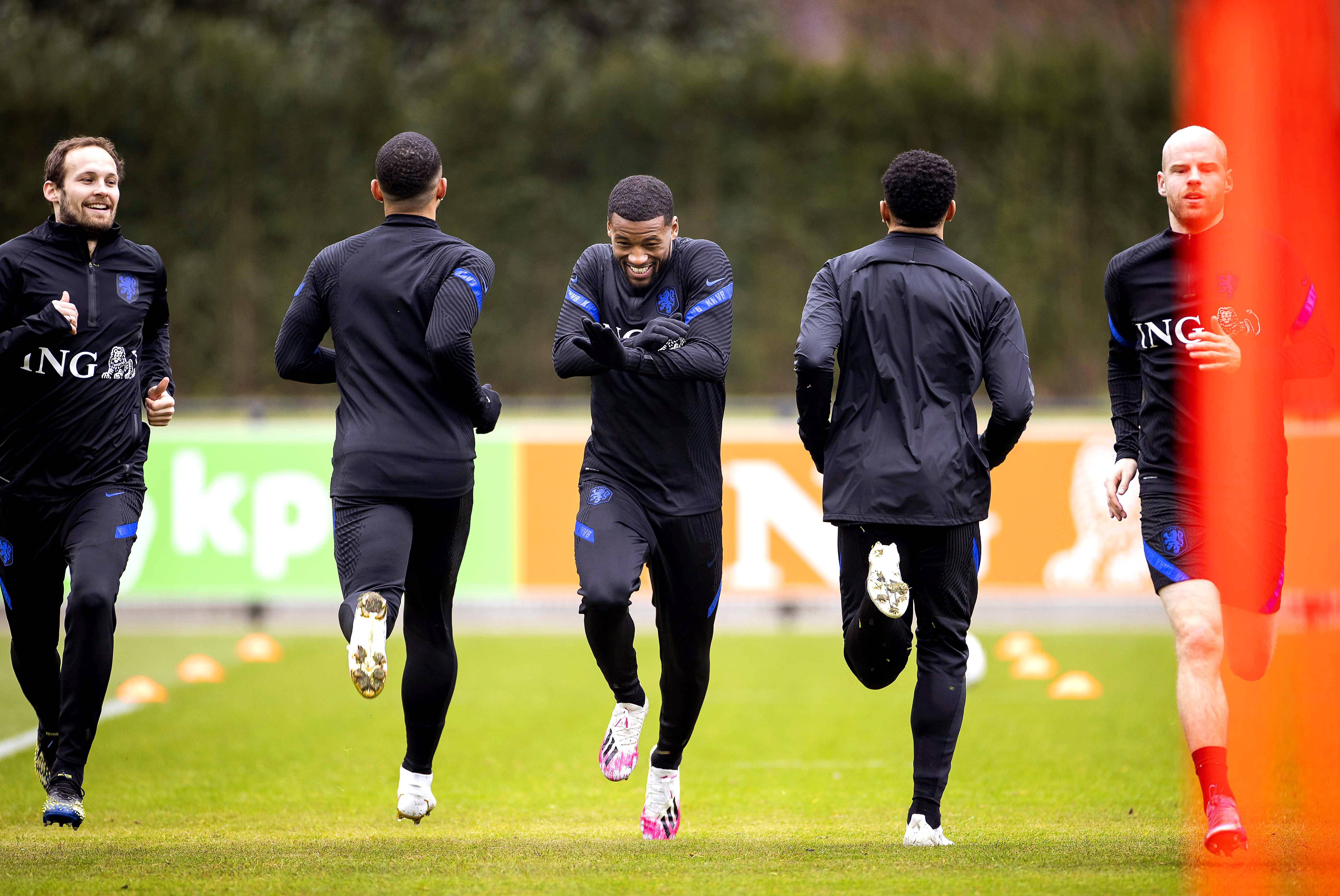 荷兰对阵蒙特尼哥，备战进行中