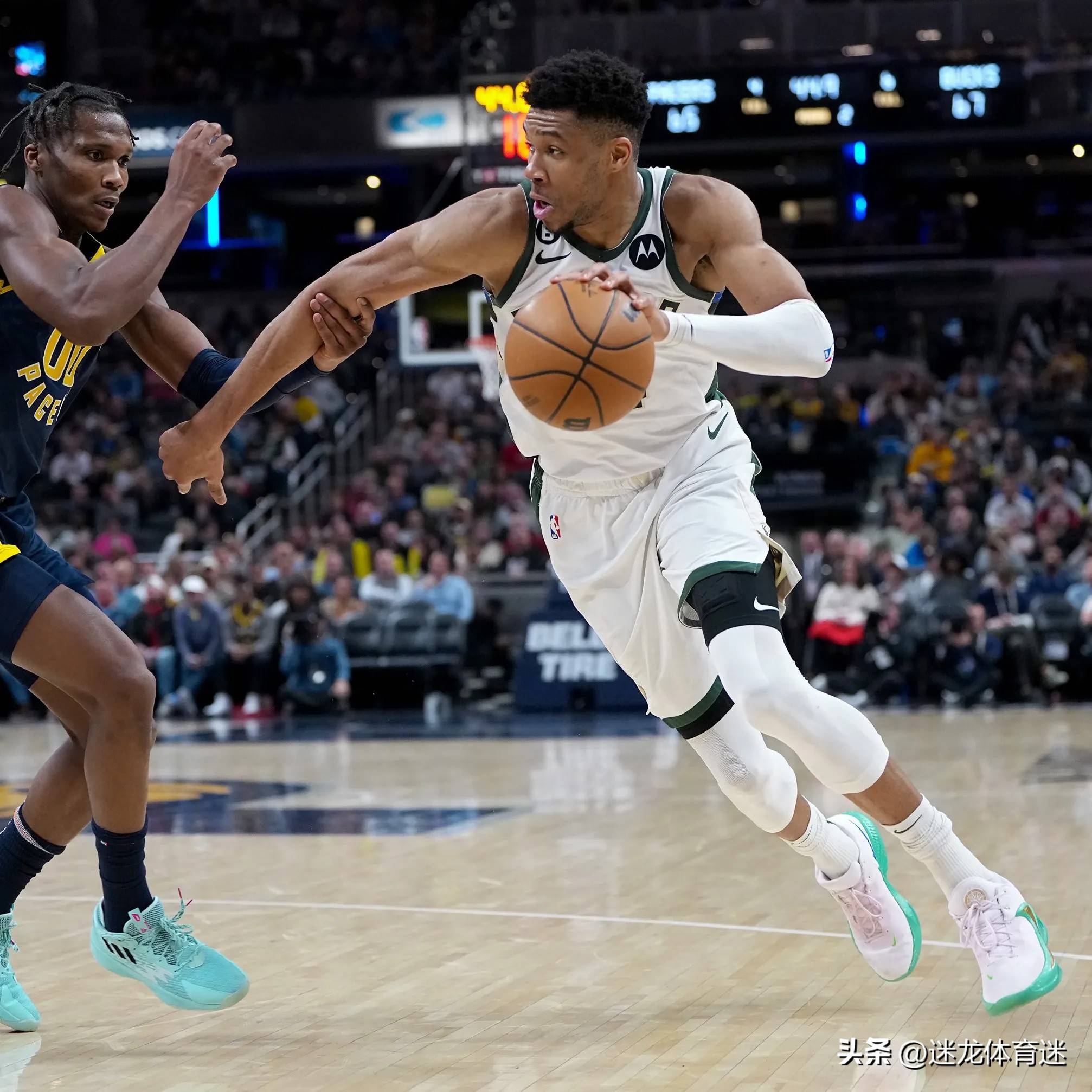 雄鹿主场大胜篮网，字母哥再现全能表现的简单介绍