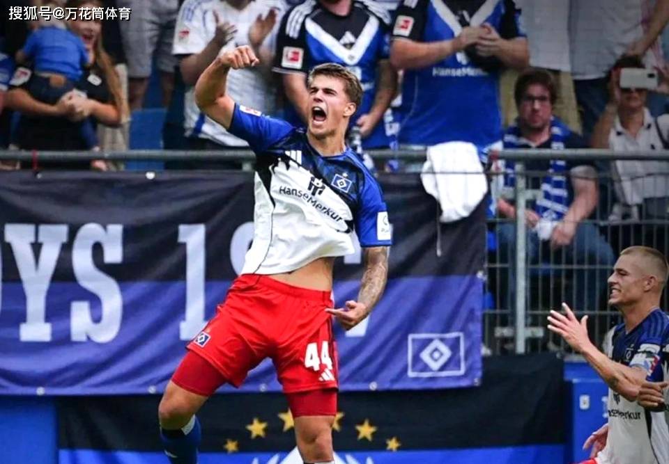 汉堡客场战胜了霍芬海姆的比赛 汉堡客场战胜了霍芬海姆的比赛